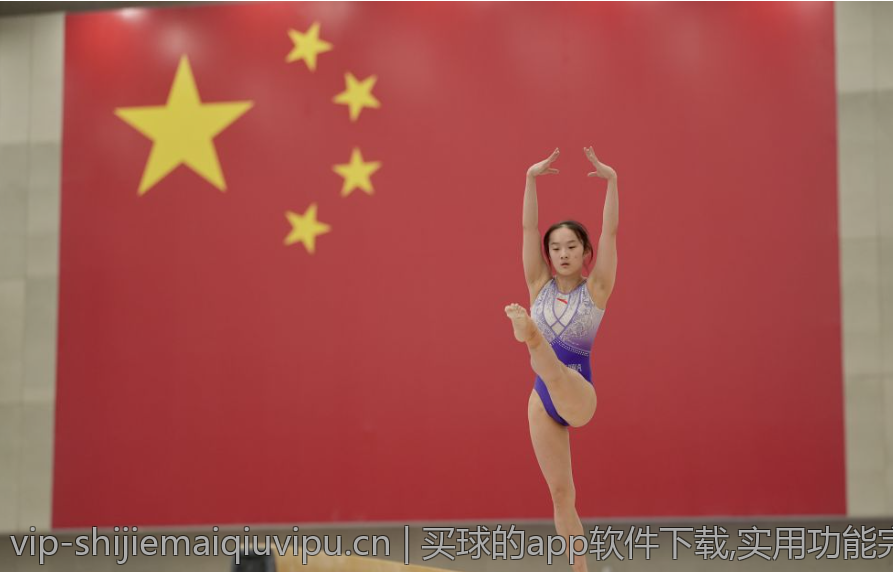 买球的app软件下载,实用功能完备的买球app下载网站