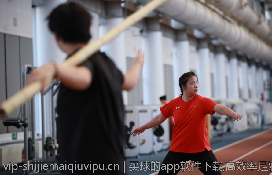 买球的app软件下载,高效率足彩投注软件试用